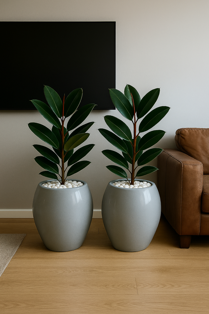 Fibreglass flower( combo) pot