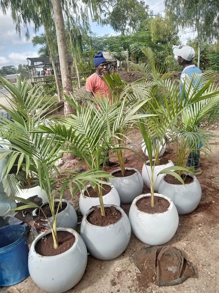 Fibre flower pots( round 33). We produce premium Durable fibreglass flower pots and planters for both indoor and outdoor space