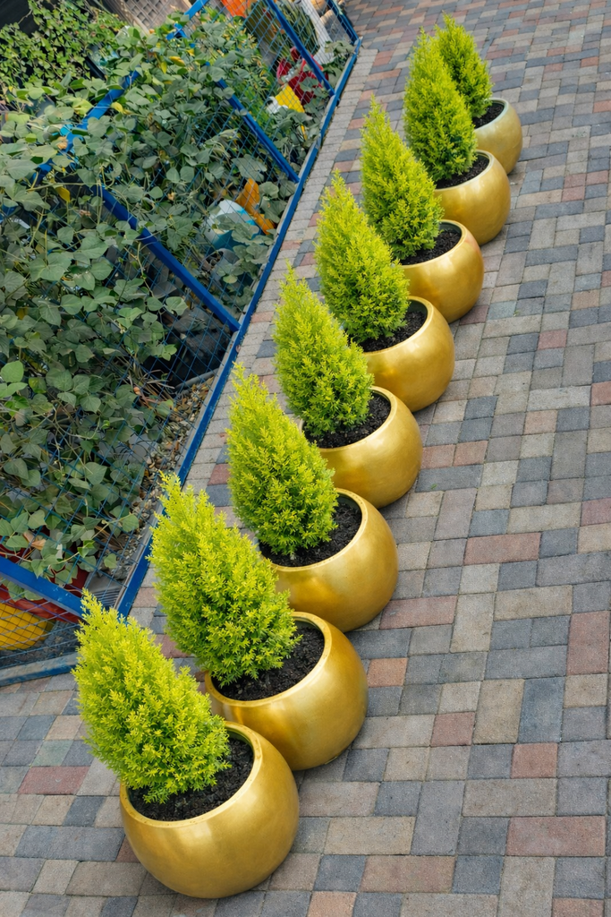 Fibre flower pots( round 33). We produce premium Durable fibreglass flower pots and planters for both indoor and outdoor space