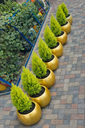 Fibre flower pots( round 33). We produce premium Durable fibreglass flower pots and planters for both indoor and outdoor space