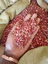Nyayo Beans (Butterfly Kenyan Kidney Beans)