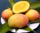 Somfresh Mangoes— Per Piece
