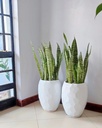 Fibre pot( small prism) size:25cm(Diameter) x 42cm( height)