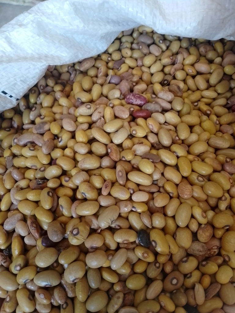 Yellow Beans