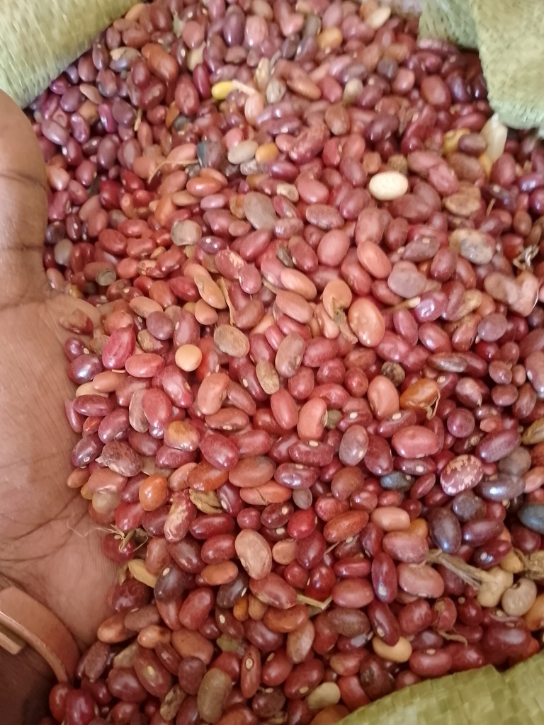 Nyayo Beans (Butterfly Kenyan Kidney Beans)