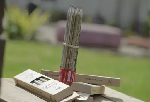 Green Pencils